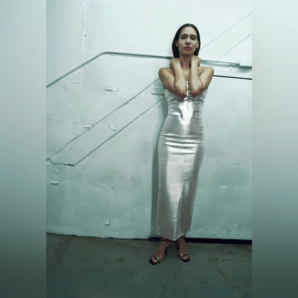 🌟NWT🌟Zara Fitted Metallic Dress - Picture 1 of 12